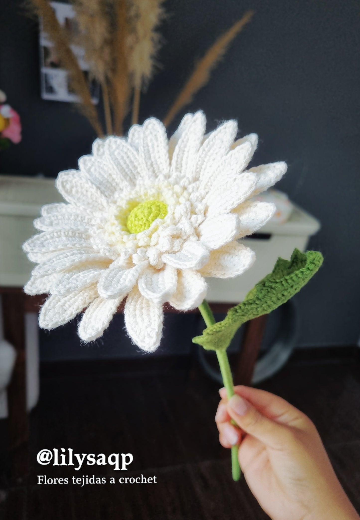 Gerbera tejida