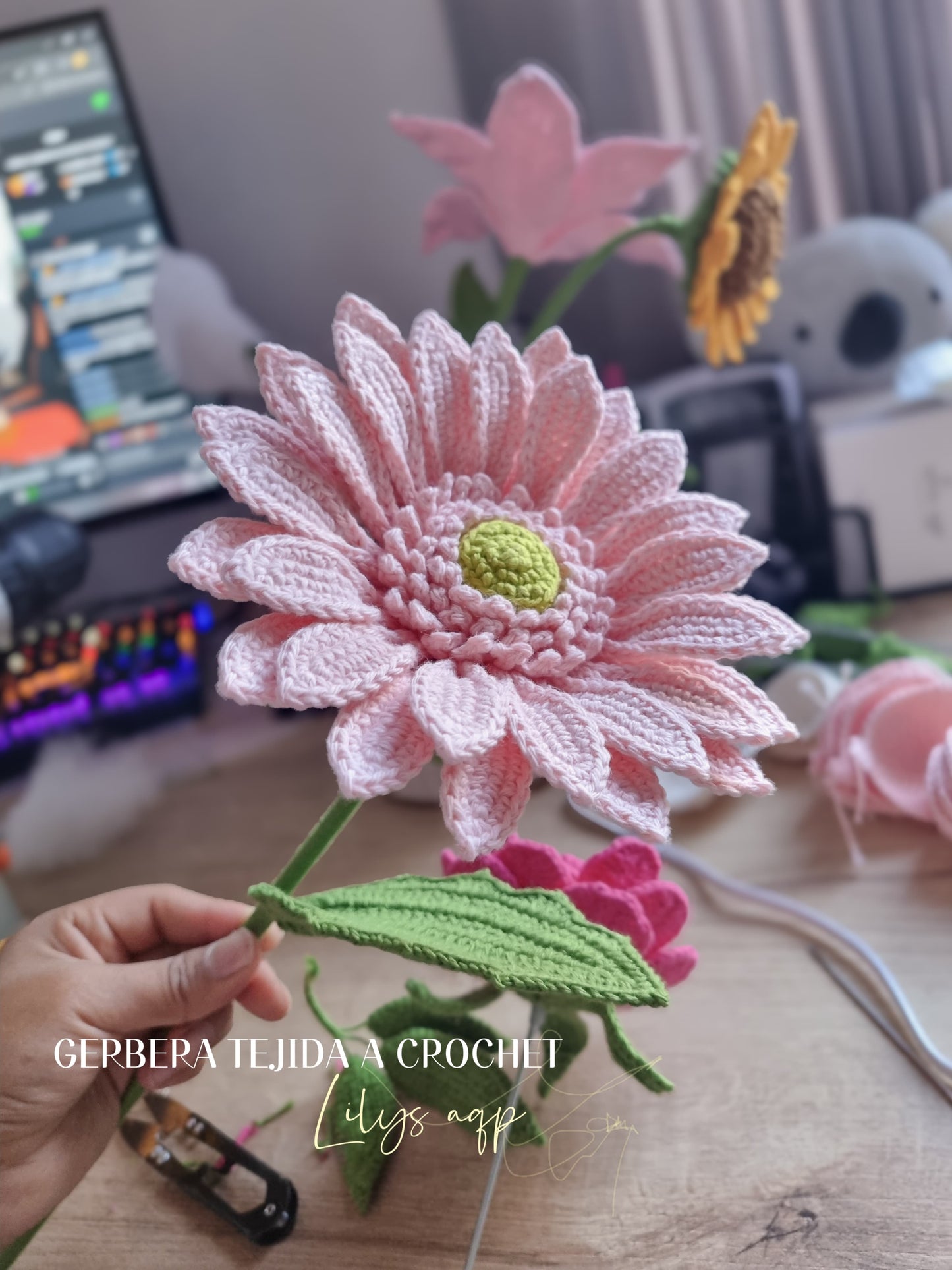 Gerbera tejida