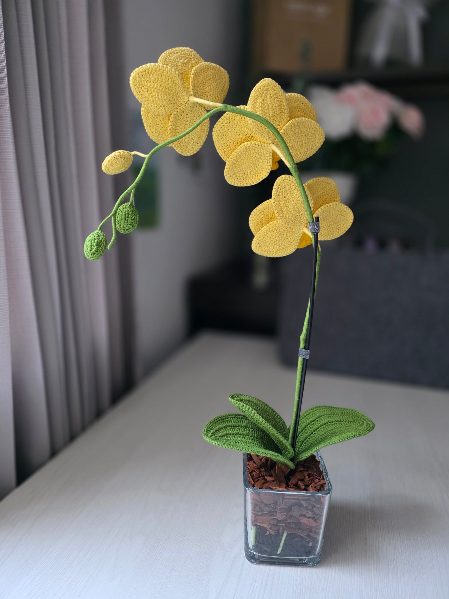 Orquídeas: Aura de Cristal