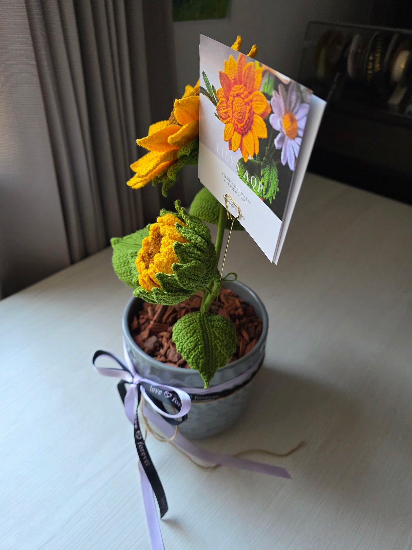 Días dorados - Girasol en maceta