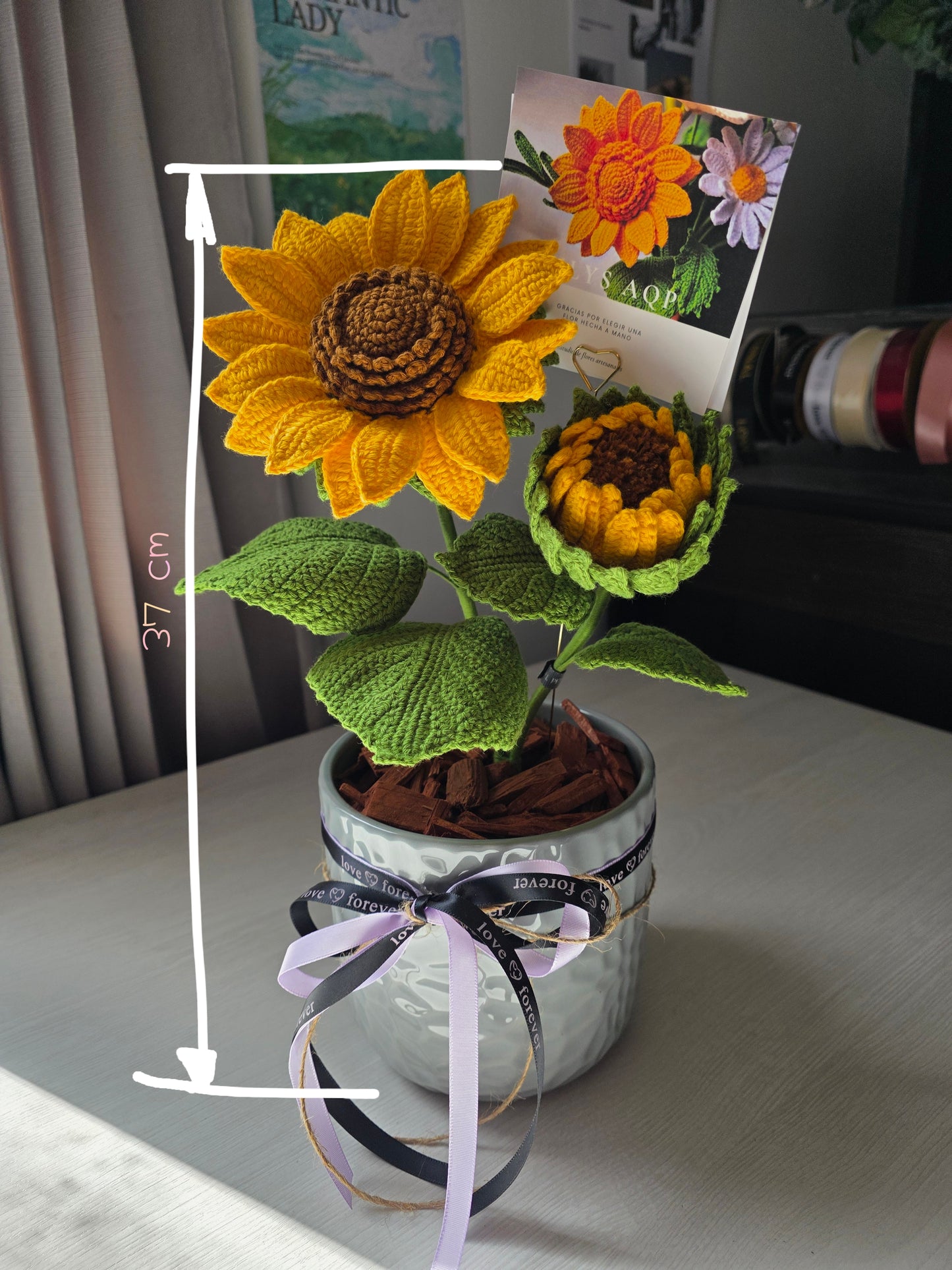 Días dorados - Girasol en maceta