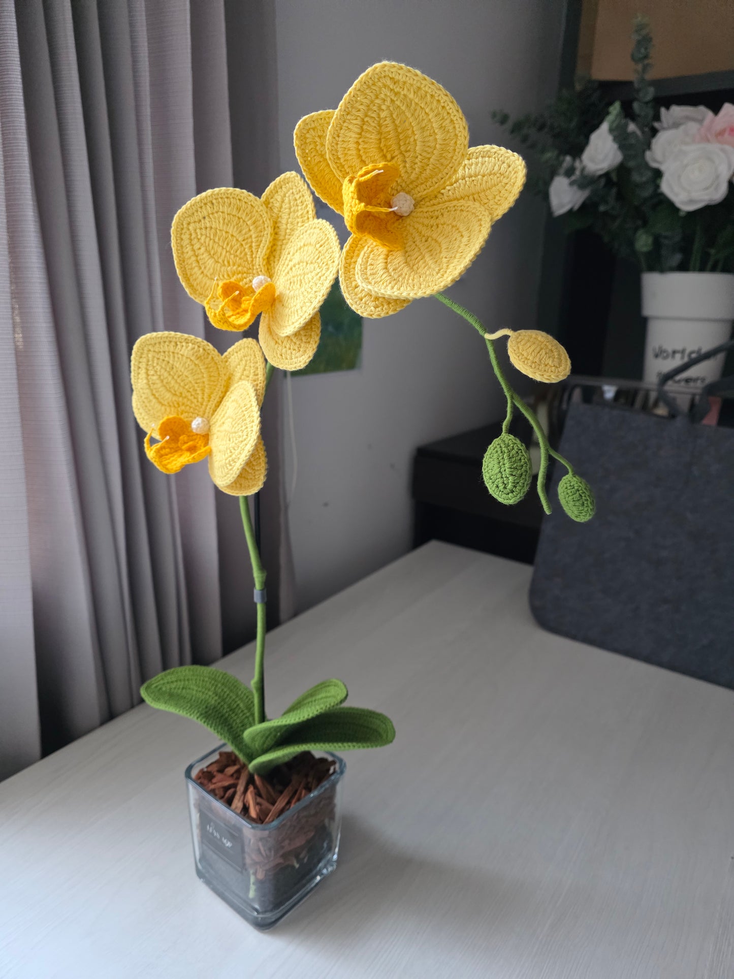 Orquídeas: Aura de Cristal