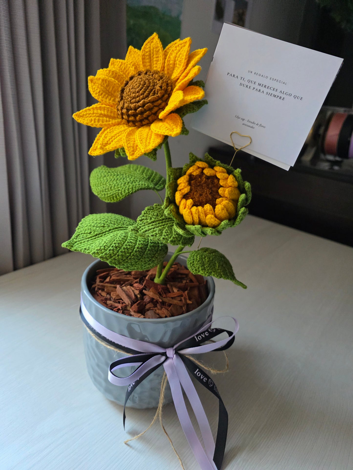 Días dorados - Girasol en maceta