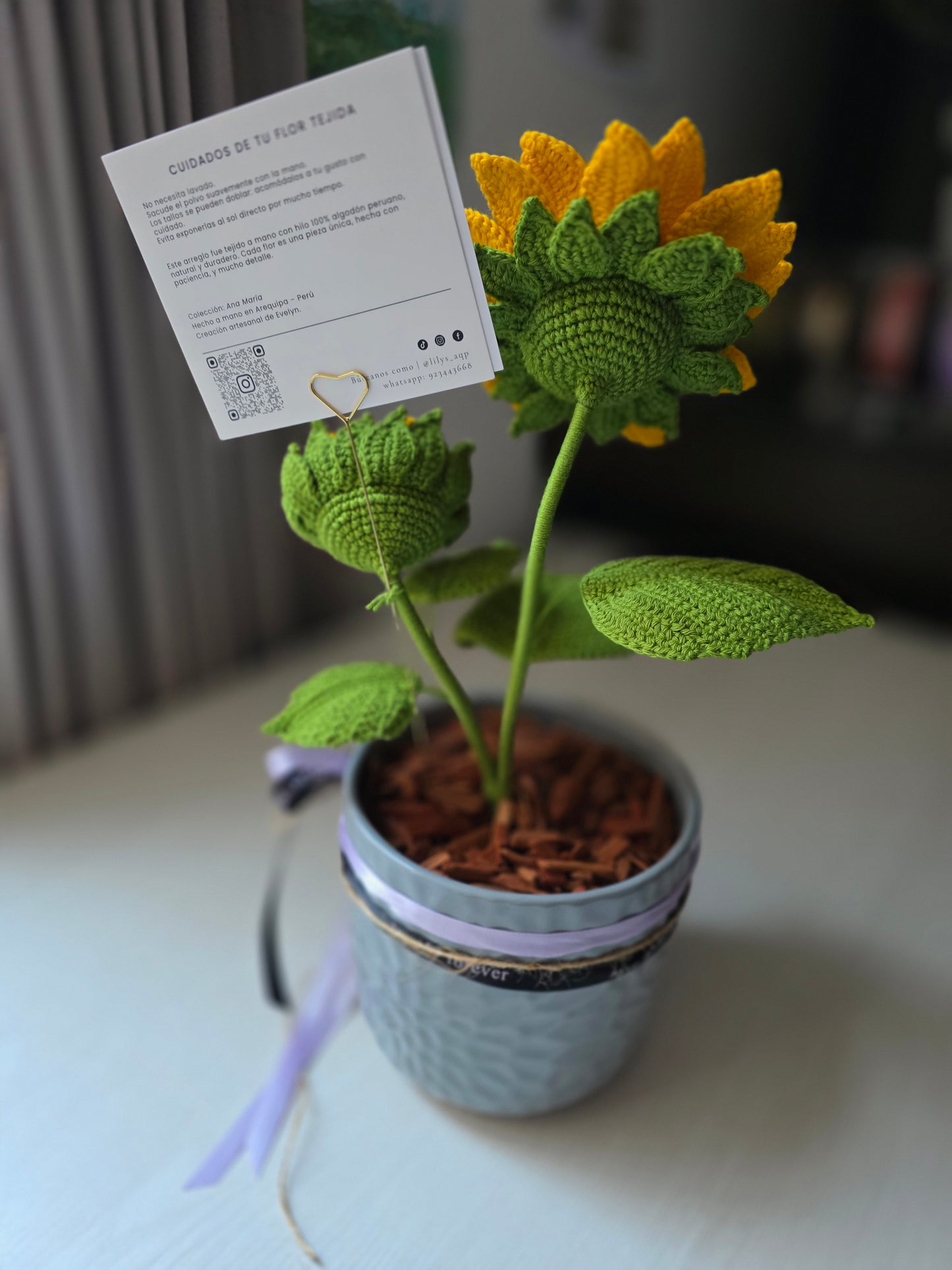 Días dorados - Girasol en maceta