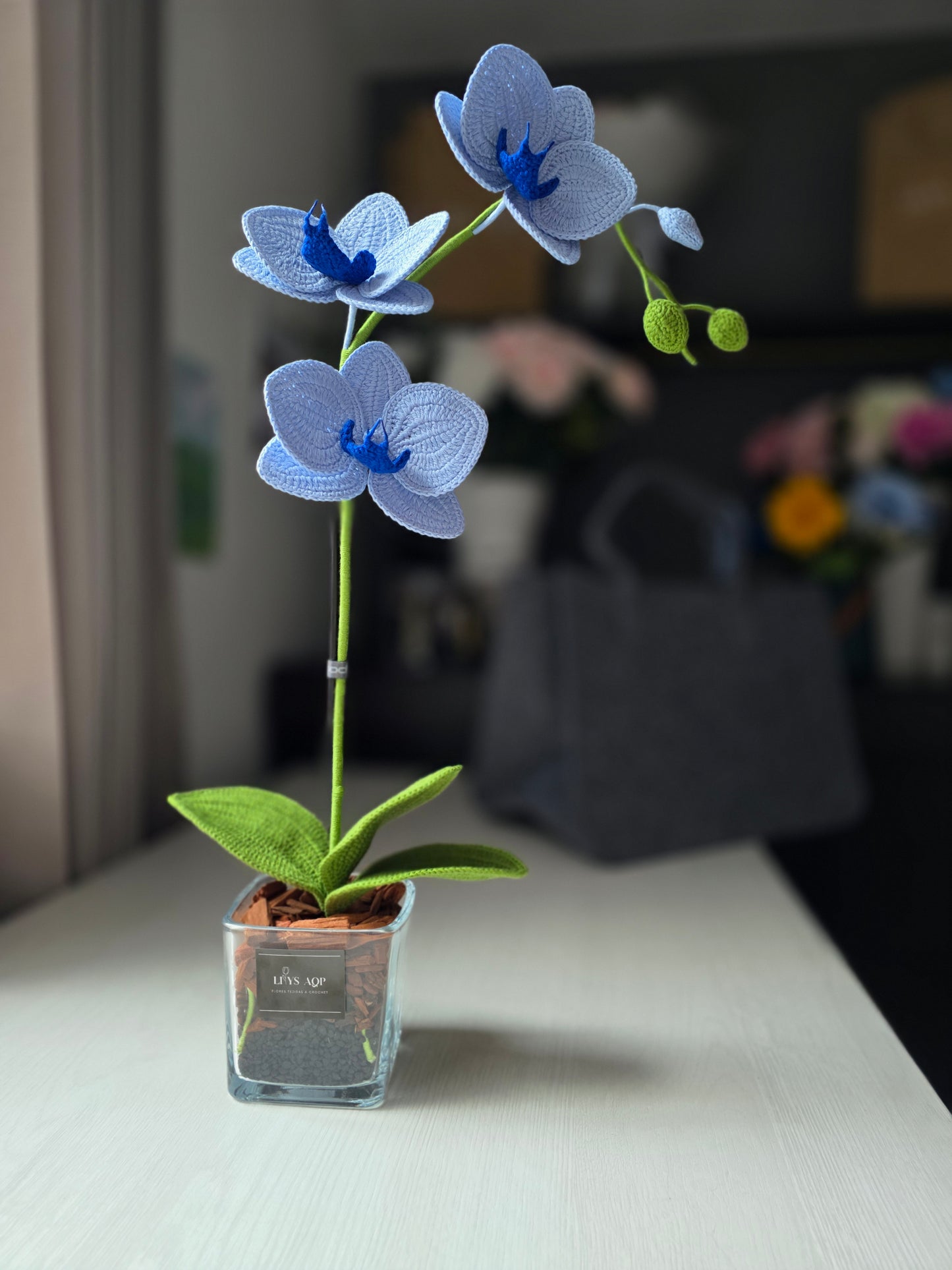 Orquídeas de autor: celeste y azul profundo