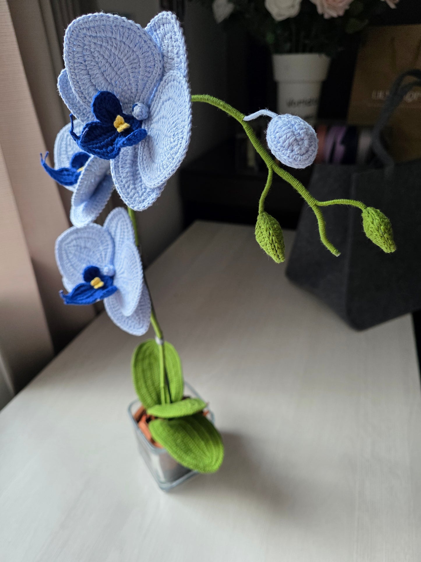 Orquídeas de autor: celeste y azul profundo