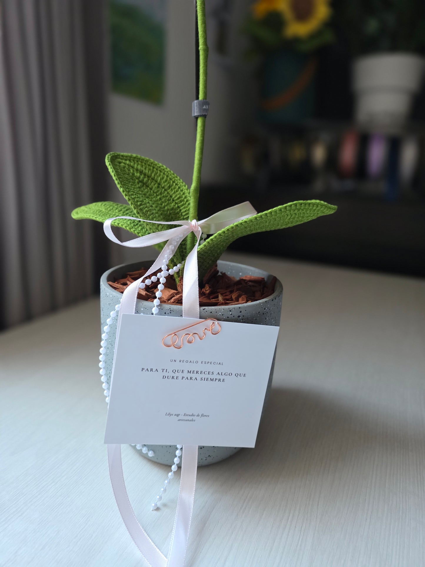 Orquideas Dulce Calma