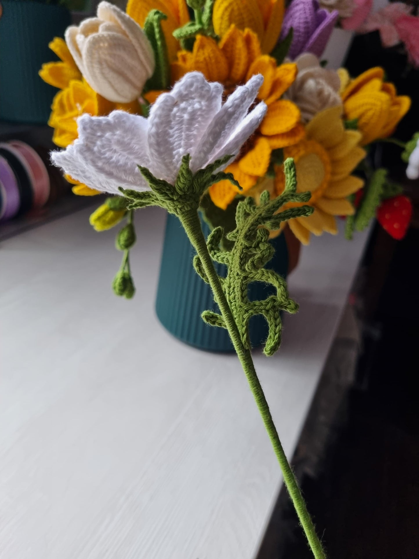 Cosmos Tejida