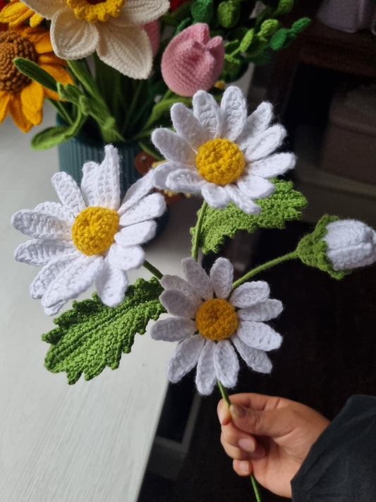 Rama de Margaritas Tejidas