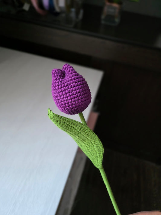 Tulipán cerrado