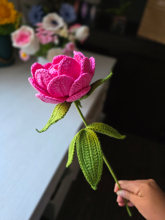Peonia tejida