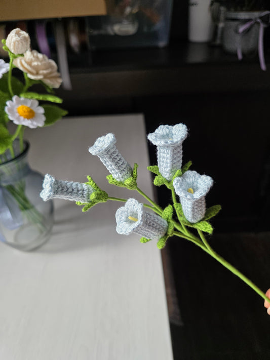 Campanula Tejida