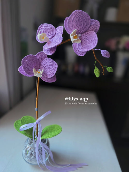 Orquídeas: Zen