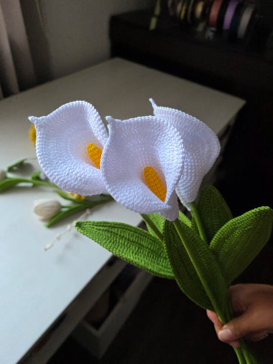 Lirio de Cala Tejida