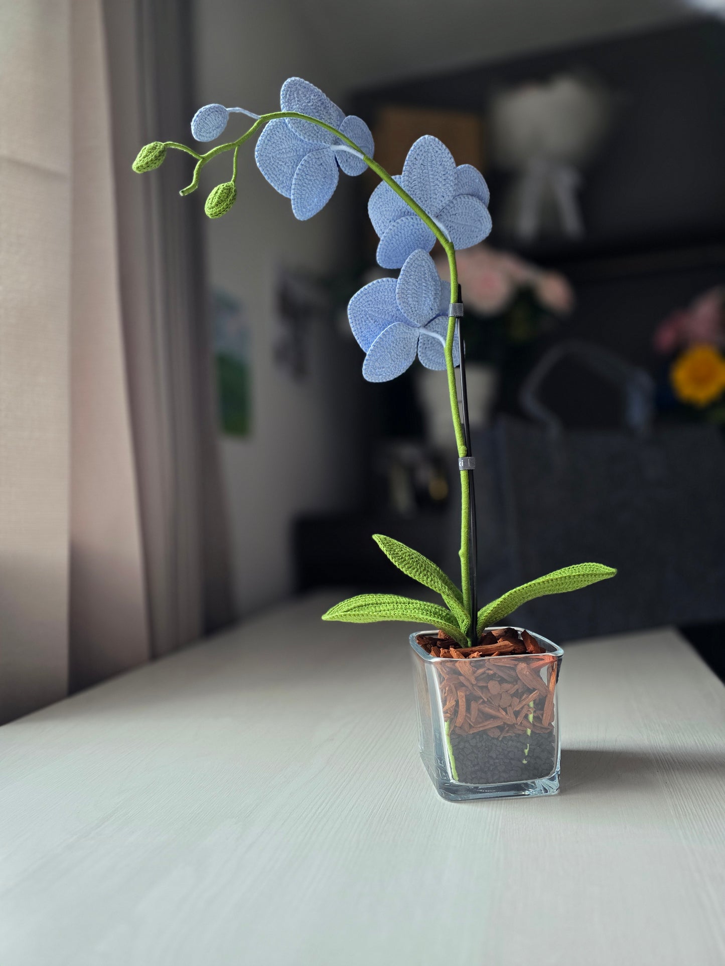 Orquídeas de autor: celeste y azul profundo